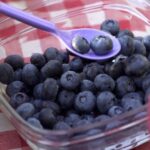 Stockholm: Evening Wildlife Safari with Midsummer Meal - Exploring the Rural Landscapes Near Stockholm