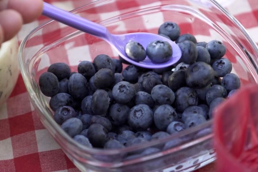 Stockholm: Evening Wildlife Safari with Midsummer Meal - Exploring the Rural Landscapes Near Stockholm