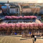 Stockholm: Guided Bike Tour - Discover the Historic Charm of Gamla Stan