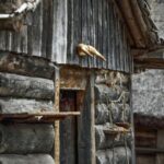 Stockholm Pass: Save up to 50% - Includes Vasa Museum Ticket - How to Use the Digital Pass in Stockholm