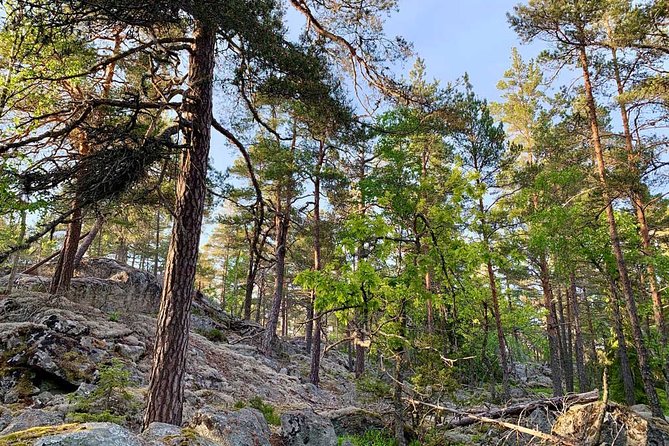 Stockholm: Sunset Hike in Tyresta National Park with Meal - The Expertise of the Guides