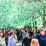 Stockholm Syndrome Private Walking Tour - Meet Your Guide at Norrmalmstorg, the Historic Heart of Stockholm