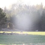 Stockholm: Wildlife Tour With Dinner and Short Hike - Starting Point and Transportation Logistics in Stockholm