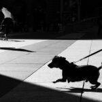Street Photography Workshops in London - Starting Point at Fleet Street for an Authentic London Street Photography Day