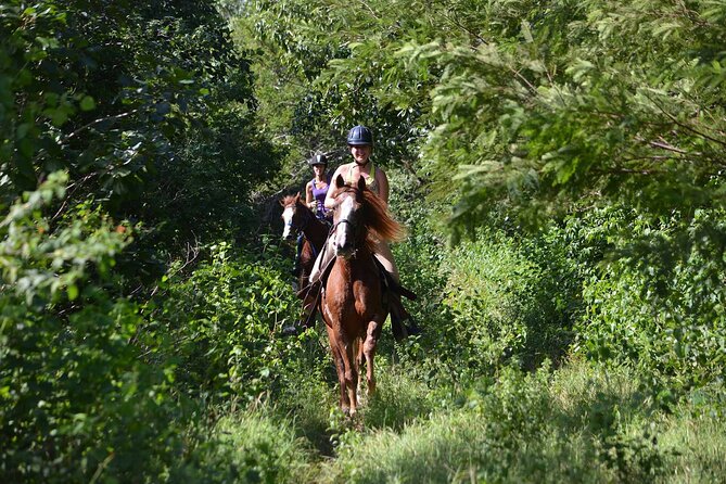 STROLL the Jungle Trails on a HORSE. Includes Transportation and Equipment. - Registration and Safety Briefing at El Dorado Maroma