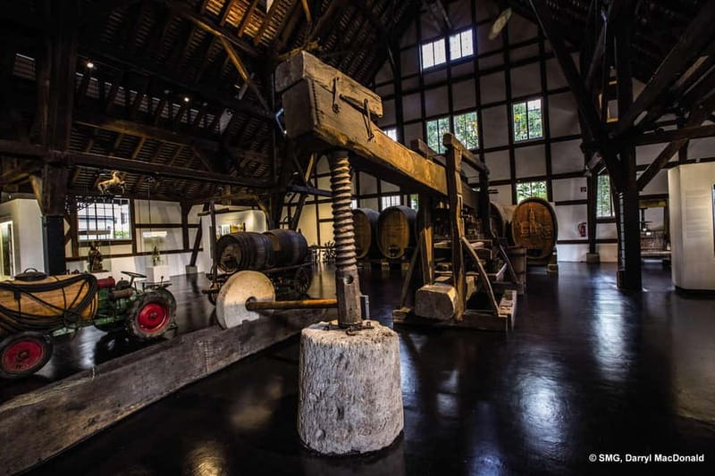 Stuttgart: Taster tour of the Wine Museum incl. 0.1 l wine - Discover the Historic Setting of Stuttgart-Uhlbach