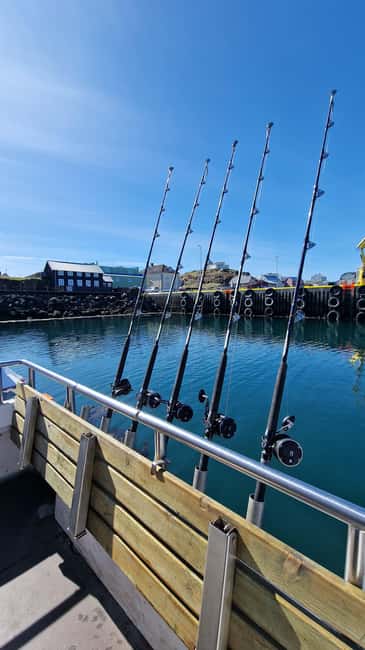 Stykkishólmur: Sea Angling Tour with Local Guide - Departing from Stykkishólmur on a Traditional Icelandic Fishing Boat