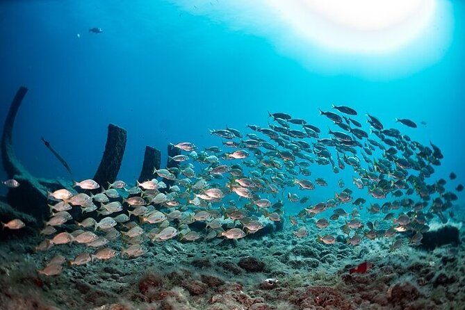 SUBMARINE ADVENTURE - Submarine Excursion in Puerto de Mogán - The Underwater Reef Park "Atlantis" and Sunken Ships