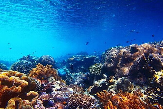 Subsea Subsee - How the Subsee Explorer Operates in Cancun