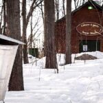 Sugar Shack (Feb to May) Maple Syrup Private Day Tour with lunch from Montreal - The Personal Touch of a Private Guided Experience