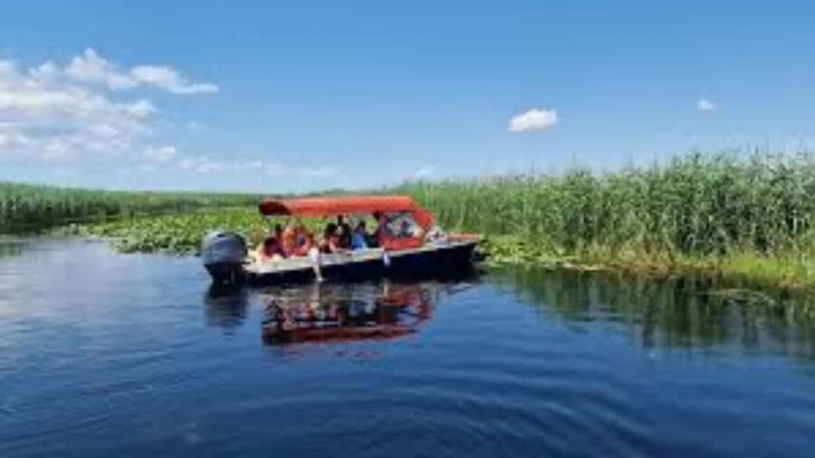 Sulina: Danube Delta Boat Tour with Wildlife Spotting - Starting Point and Tour Logistics in Sulina
