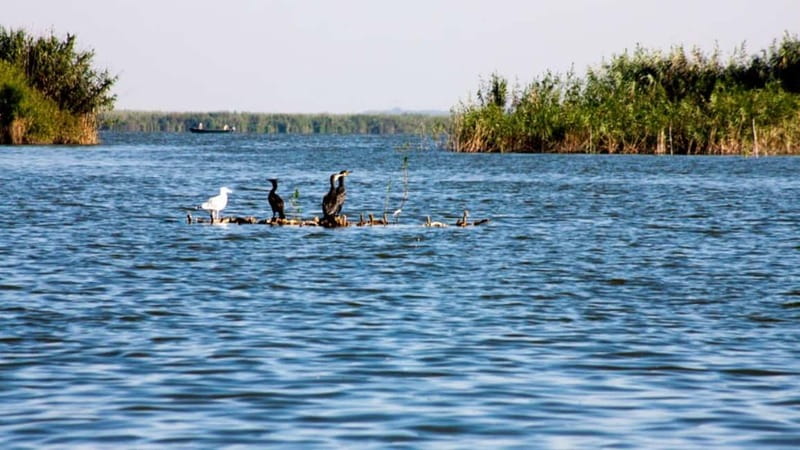 Sulina: Mila 23 Village Boat Trip in the Danube Delta - Scenic Boat Ride from Sulina to Mila 23
