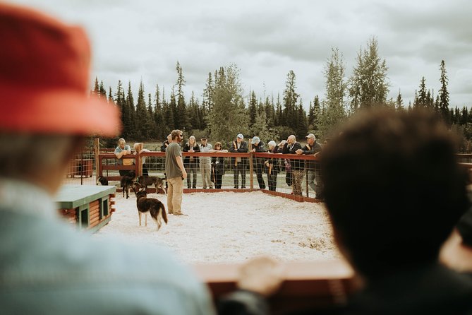 Summer Kennel Visit at Historic Trail Breaker Kennel - Exploring Trail Breaker Kennel’s Long-Standing Heritage