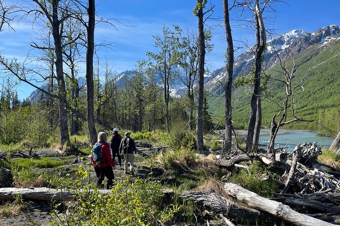 Summer Valley and Forest Hike - Starting at the William A. Egan Civic & Convention Center in Downtown Anchorage
