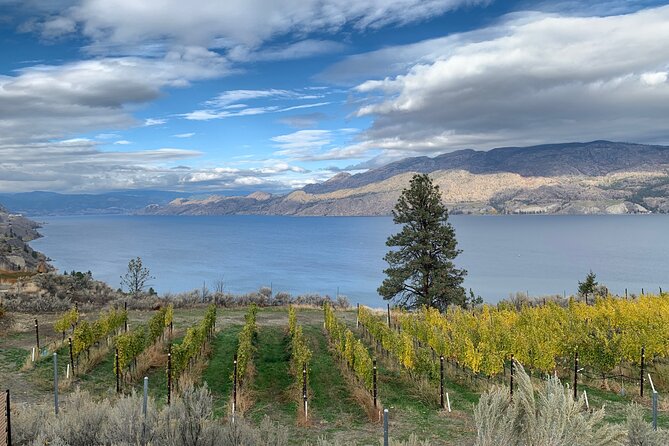 Summerland Half Day Wine Tour (Incl. Tasting Fees & Guide Grat!) - Practical Logistics and Comfort Amenities