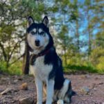 Sunrise on the heights: Pico del Águila. Mexico City. - Departure from Six Flags México to Ajusco