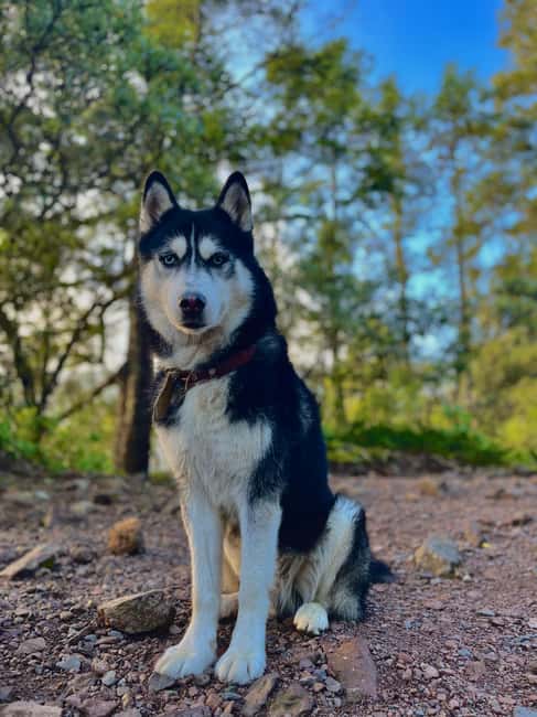 Sunrise on the heights: Pico del Águila. Mexico City. - Departure from Six Flags México to Ajusco
