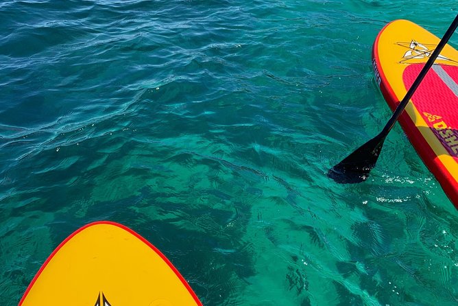 Sunrise SUP tour & breakfast - Private stand up paddle boarding experience - The Scenic Route and Island Stop