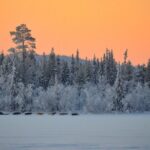 Sunrise Zen Husky Tour (10:00 to 13:00 - sitting on the sled) - Interacting with the Huskies and Learning About Sledding