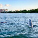 Sunset and Dolphin Cruise around Fort Myers Beach - Exploring the Route from Fort Myers Beach to Matanzas Pass Preserve