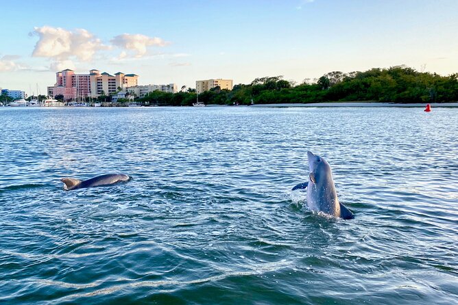 Sunset and Dolphin Cruise around Fort Myers Beach - Exploring the Route from Fort Myers Beach to Matanzas Pass Preserve