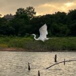 Sunset and Glow Guided Kayaking Tour Grapevine Lake - Scenic Paddle through Grapevine Lake’s Peaceful Cove