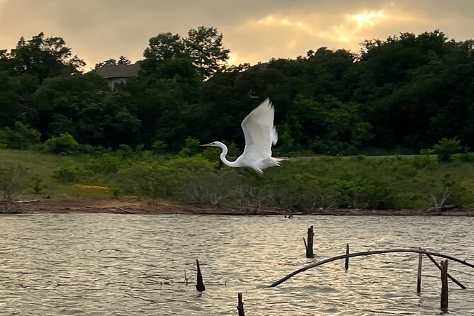 Sunset and Glow Guided Kayaking Tour Grapevine Lake - Scenic Paddle through Grapevine Lake’s Peaceful Cove