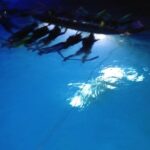 Sunset and Manta Ray Snorkel Adventure - The Kona Sunset Cruise on a 50-Foot Catamaran