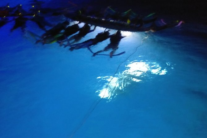 Sunset and Manta Ray Snorkel Adventure - The Kona Sunset Cruise on a 50-Foot Catamaran