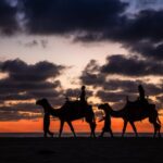 Sunset beach Camel ride with Mexican Buffet and Tequila Tasting - Mexican Buffet: Flavors Paired with Refreshing Beverages