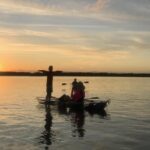 Sunset Clear Kayak Tour - Marine Wildlife Sightings and Educational Highlights