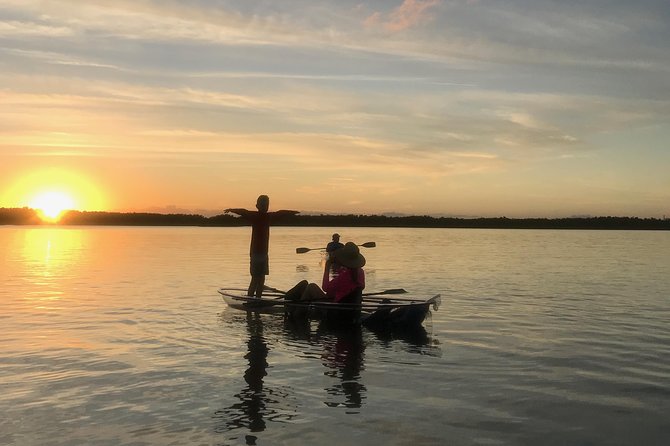 Sunset Clear Kayak Tour - Marine Wildlife Sightings and Educational Highlights