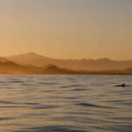 Sunset Cruise in San Jose del Cabo - Starting Point at Fishers Marina behind Hotel El Ganzo