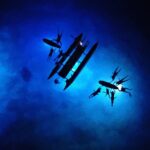 Sunset Cruise & Manta Night Snorkeling Charter - Manta Ray Night Snorkeling on a Private Boat