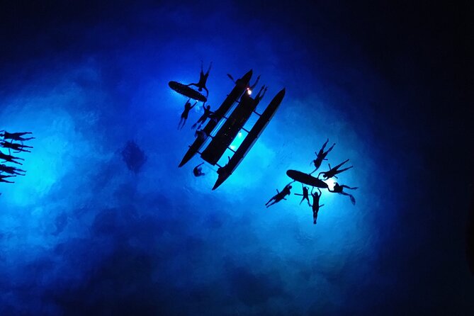 Sunset Cruise & Manta Night Snorkeling Charter - Manta Ray Night Snorkeling on a Private Boat