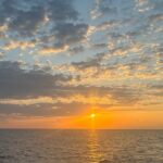 Sunset Cruise with Good Jibez Only in Panama City Beach - Wildlife Encounters: Dolphins and Sea Life Galore