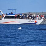 Sunset Cruise with the Whales from Anaeho'omalu Bay - Whale Watching During the Winter Season
