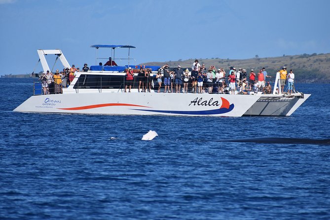 Sunset Cruise with the Whales from Anaeho'omalu Bay - Whale Watching During the Winter Season