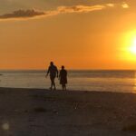 Sunset Eco Tour of Marco Island & 10,000 Islands - Exploring the Ten Thousand Islands National Wildlife Refuge