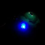 Sunset/Glow Clear Kayak Tour in Olowalu - Exploring Maui’s Oldest Reef System