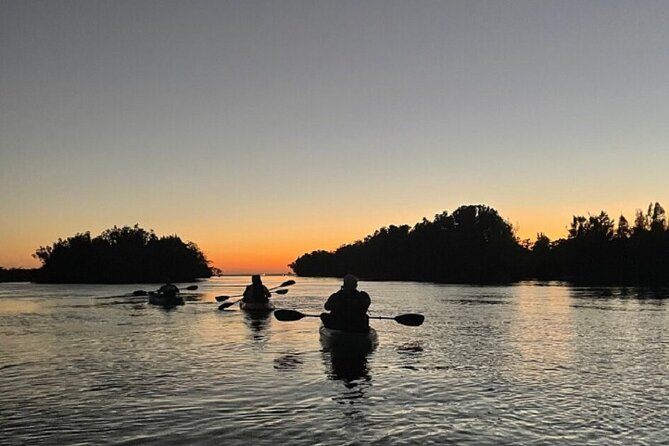Sunset Kayaking - Wildlife Refuge (Titusville) - What Makes This Tour Special: Bioluminescence in Florida