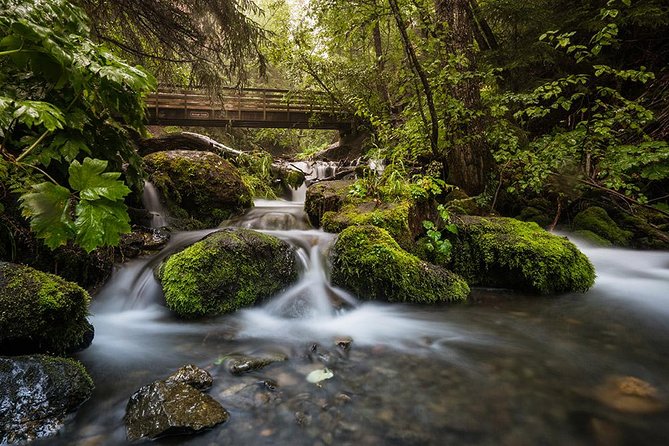 Sunset Photo Safari - Starting Point at Anchorage Viewpoint for Sunset Photography