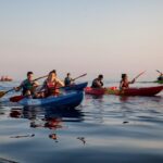 Sunset Sea Kayaking and Wine Dubrovnik - Access to Dubrovnik’s Hidden Coastal Spots