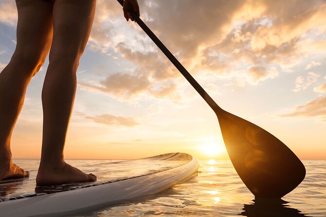 Sunset SUP Tour in Marbella - Marbella Bay’s Calm Marina Waters as a Starting Point