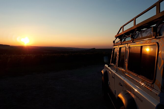 Sunset tasting sunset in the champagne vineyards - The Stops: Parc Naturel Regional de la Montagne de Reims