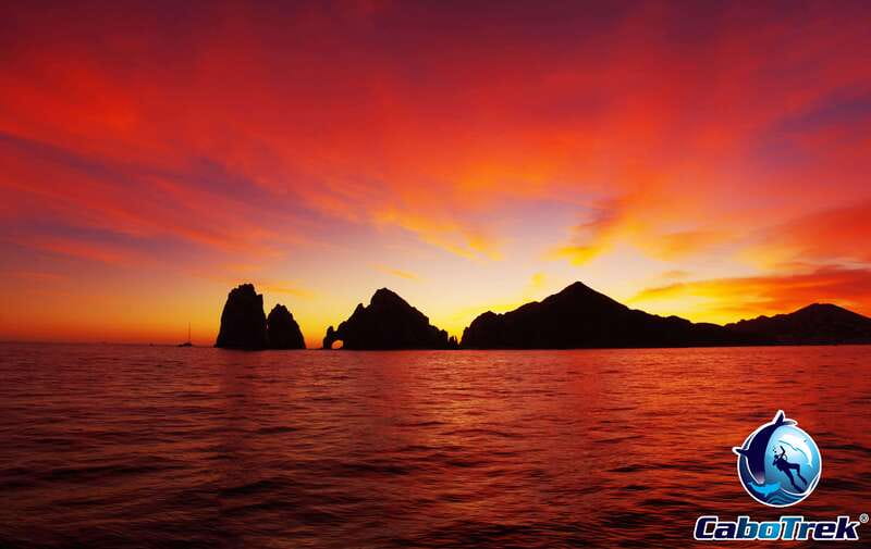 Sunset Whale Watching Cruise in Cabo San Lucas - Witness Cabo’s Iconic Sunset from the Ocean