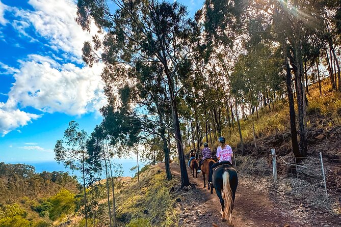 Sunshine Mountain Vista Horseback Trail Ride on Oahu - Starting Point and How to Join the Horseback Trail Ride