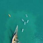 Sup and Canoe or Kayak Tour - The Experience of Paddleboarding in Porto Heli’s Waters