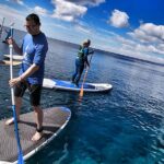 Sup Experiences in the ocean - Techniques for Standing and Rowing on the SUP
