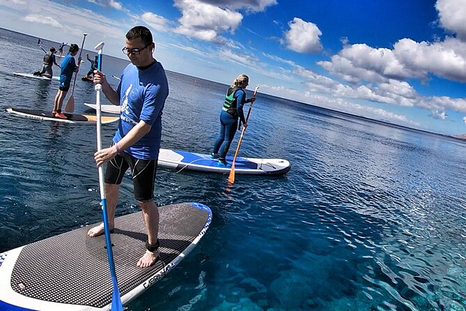 Sup Experiences in the ocean - Techniques for Standing and Rowing on the SUP